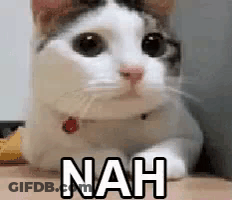A White And Brown Cat Is Laying On A Person 'S Lap With The Word Nah Written On It . GIF