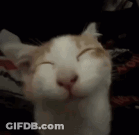 A White And Orange Cat Is Smiling With Its Eyes Closed . GIF