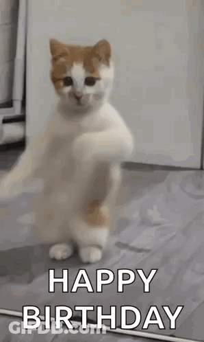 A White And Orange Cat Is Standing On Its Hind Legs And Says `` Happy Birthday '' . GIF