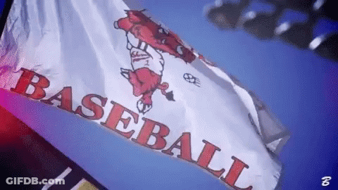 A White And Red Baseball Flag With A Pig On It GIF