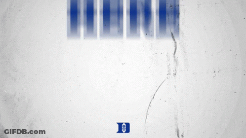 A White Background With Blue Stripes That Says ' Human Rights ' On It GIF
