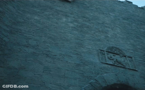 A White Banner With A Bird On It Hangs From A Rope On A Brick Wall GIF