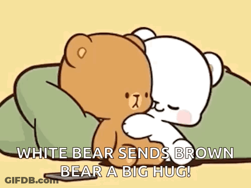 A White Bear Is Hugging A Brown Bear On A Pillow . GIF
