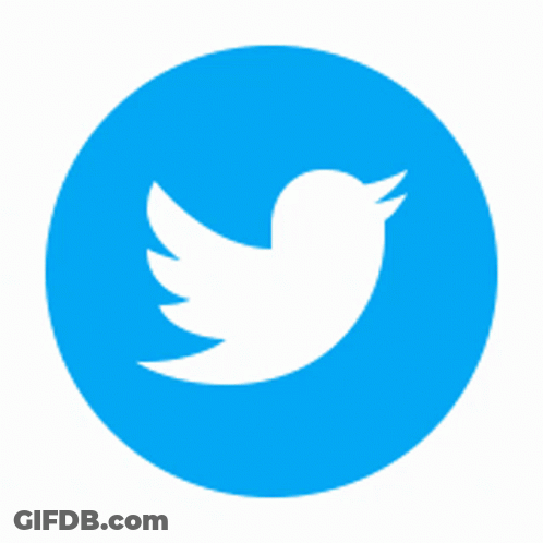 A White Bird In A Blue Circle On A White Background . GIF