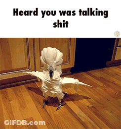 White Bird Standing On Floor Saying Heard You Was Talking Shit GIF