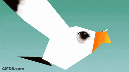A White Bird With An Orange Beak Is Flying In The Blue Sky GIF