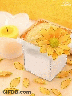 A White Box With A Yellow Flower On It Sits On A Table Next To A Yellow Candle GIF