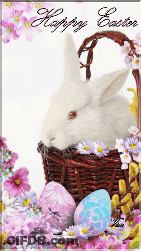 A White Bunny In A Basket With Easter Eggs And Flowers GIF
