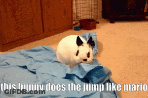 A White Bunny Laying On A Blue Blanket With A Caption That Says This Bunny Does The Jump Like Mario GIF