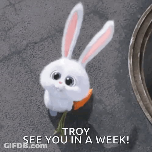 A White Bunny Rabbit Is Holding A Carrot In Its Paws And Says `` Troy See You In A Week ! '' GIF