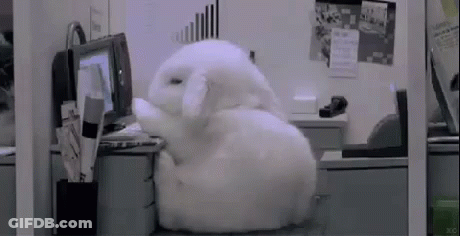 A White Bunny Rabbit Is Sitting On A Desk In Front Of A Computer . GIF