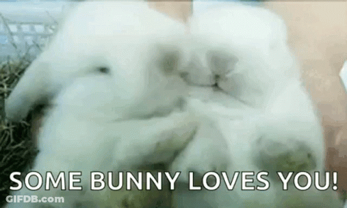 A White Bunny Rabbit Is Sitting On Top Of A Pile Of Hay With The Words `` Some Bunny Loves You '' . GIF