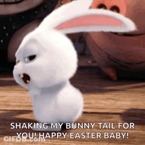 A White Bunny Says Shaking My Bunny Tail For You ! Happy Easter Baby GIF