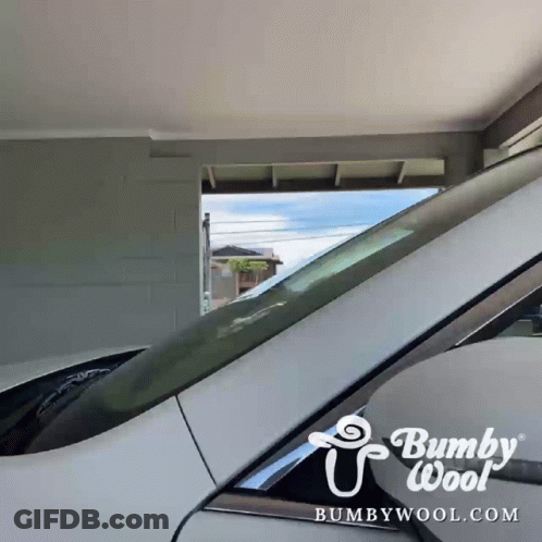 White Car Parked In Garage With Bumpywool.com GIF