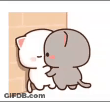 A White Cat And A Gray Cat Are Hugging Each Other In A Corner . GIF