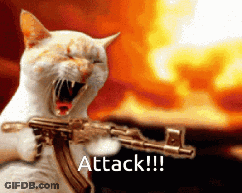 A White Cat Holding A Gun With The Words Attack Written Below It GIF
