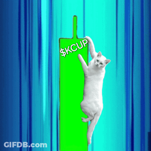 A White Cat Is Hanging On A Green Sign That Says $Kcup GIF