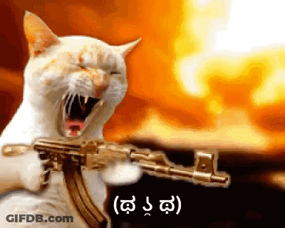 A White Cat Is Holding A Gun In Front Of A Fire .. GIF