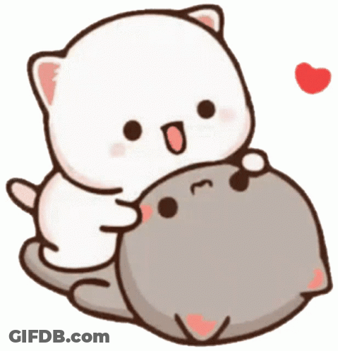 White Cat Hugging Gray Cat With Heart Background GIF