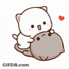 A White Cat Is Hugging A Gray Cat With A Red Heart In The Background . GIF