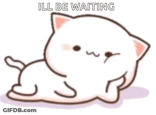 A White Cat Is Laying Down With The Words `` Ill Be Waiting '' Written On It . GIF