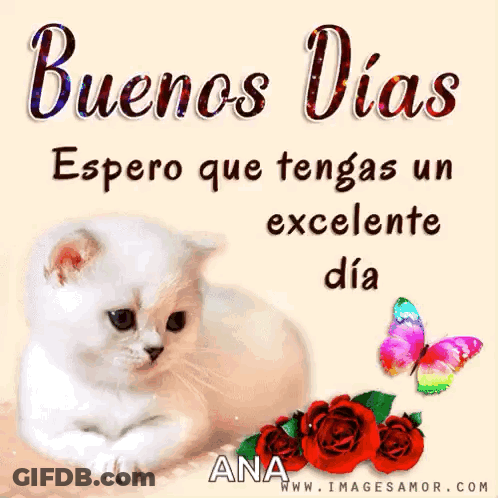 A White Cat Is Laying Next To Red Roses And A Butterfly With The Words Buenos Dias GIF