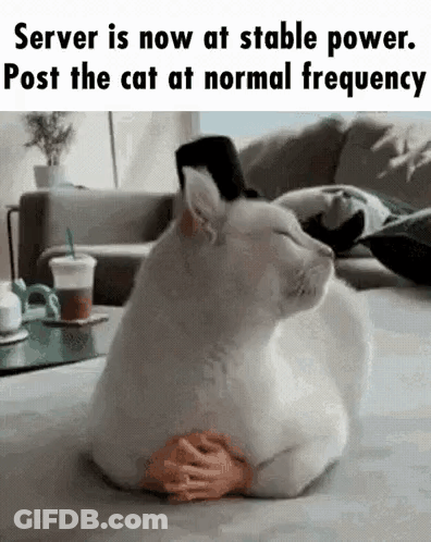 A White Cat Is Laying On A Couch With A Toy Hand On Its Feet . GIF