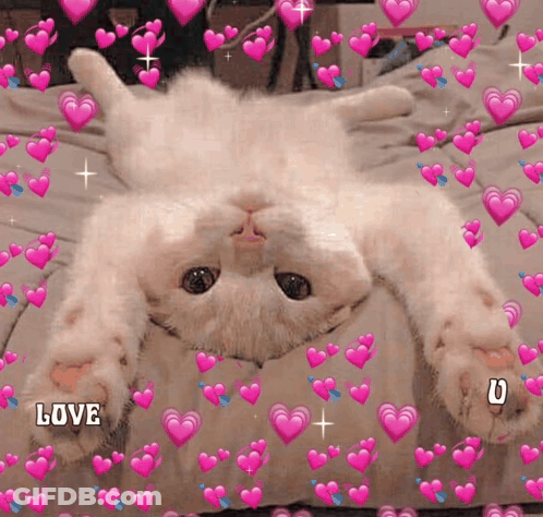 A White Cat Is Laying On Its Back On A Bed With Pink Hearts Around It And The Word Love On The Bottom GIF