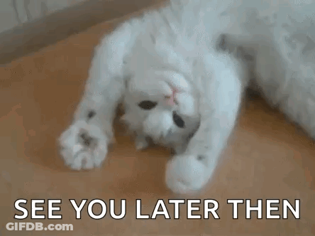A White Cat Is Laying On Its Back On A Wooden Floor And Says `` See You Later Then '' . GIF