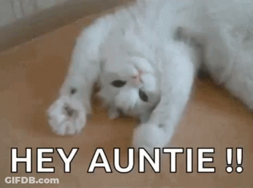 A White Cat Is Laying On Its Back On A Wooden Floor With The Words Hey Auntie Written Above It . GIF