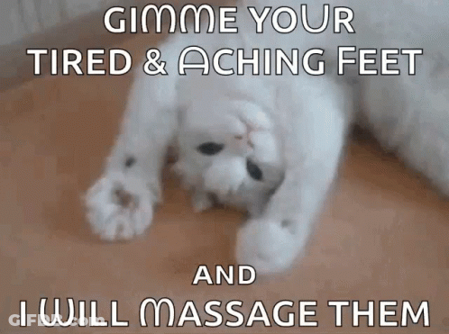 A White Cat Is Laying On Its Back With The Words Gimme Your Tired & Aching Feet And I Will Massage Them GIF