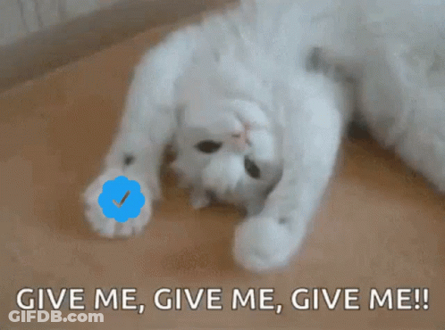 A White Cat Is Laying On Its Back With The Words Give Me Give Me Give Me Written Below It GIF