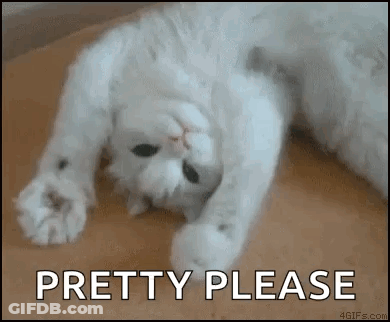 A White Cat Is Laying On Its Back With The Words `` Pretty Please '' Written Below It . GIF