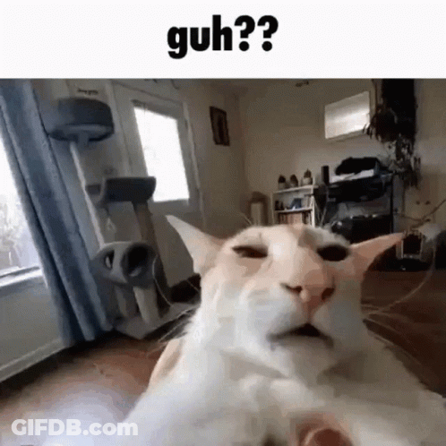 A White Cat Is Laying On The Floor In A Living Room With Its Eyes Closed . GIF