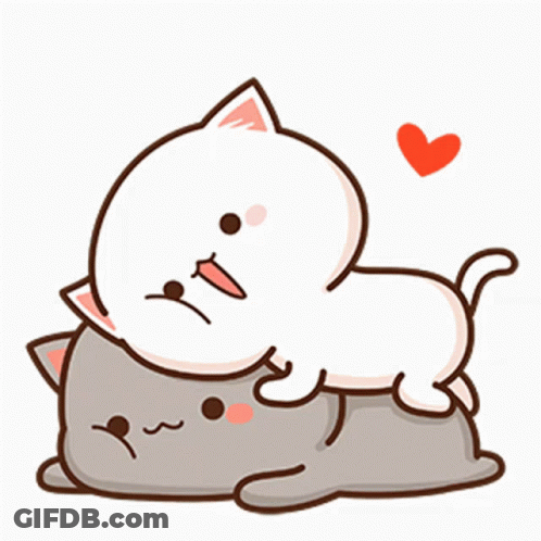 White Cat Laying On Gray Cat With Heart GIF