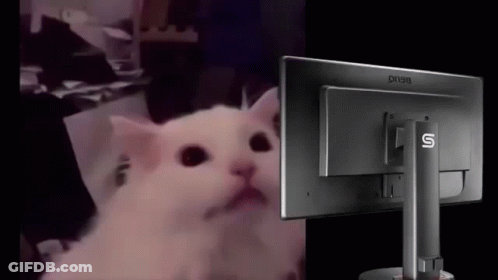 A White Cat Is Looking At A Computer Screen . GIF