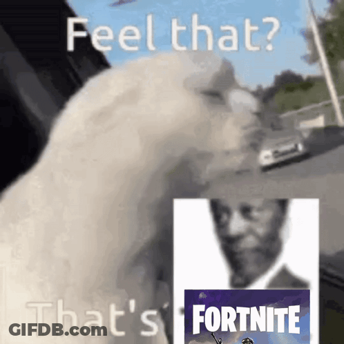 A White Cat Is Looking At A Picture Of A Man With A Sword And The Words Feel That That 'S Fortnite On It GIF