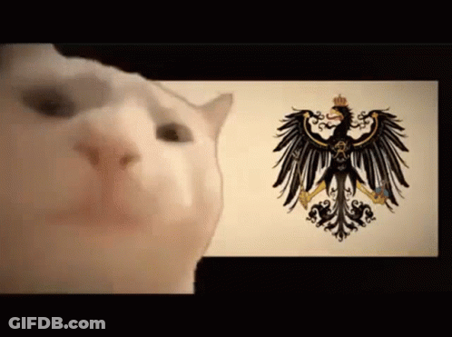 A White Cat Is Looking At An Eagle On A Flag GIF