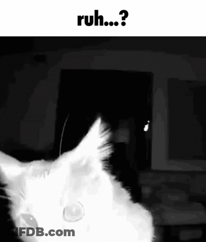 A White Cat Is Looking At The Camera In A Black And White Photo With The Words Ruh .. ? Above It . GIF