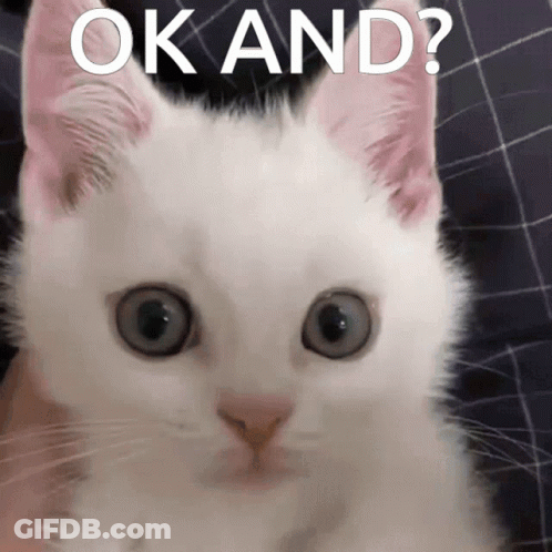 A White Cat Is Looking At The Camera With The Words Ok And Written Above It GIF