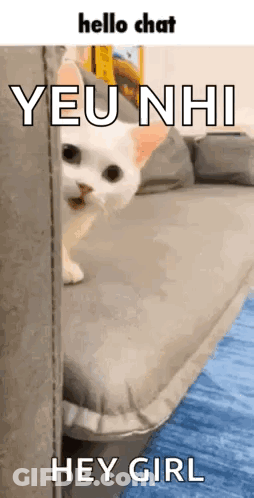 A White Cat Is Peeking Out From Behind A Couch And Saying Hello Chat Yeu Nhi Hey Girl GIF