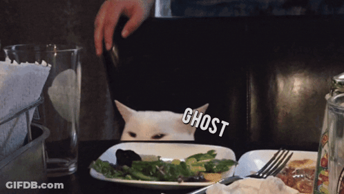A White Cat Is Sitting At A Table With A Plate Of Food And A Ghost Sticker On It GIF