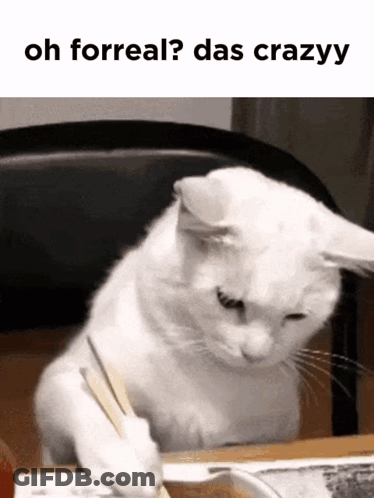 A White Cat Is Sitting At A Table With A Spoon In Its Mouth And The Caption Oh Forreal Das Crazyy GIF