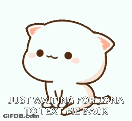 A White Cat Is Sitting Down And Waiting For Jona To Text Me Back . GIF