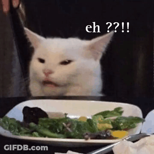 A White Cat Is Sitting In Front Of A Plate Of Salad . GIF