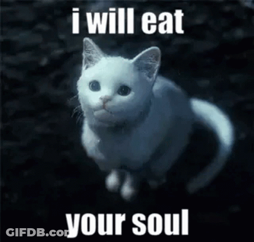 A White Cat Is Sitting In The Dark With The Words `` I Will Eat Your Soul '' Written On It . GIF