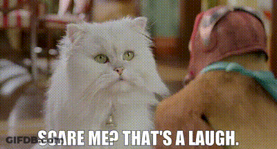 A White Cat Is Sitting Next To A Person With The Words `` Scare Me That 'S A Laugh '' . GIF