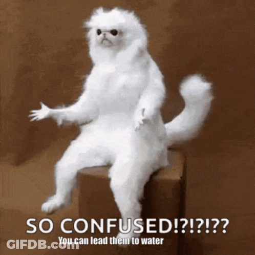A White Cat Is Sitting On A Box And Says So Confused GIF