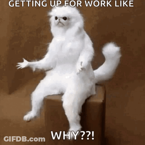 A White Cat Is Sitting On A Box With The Caption " Getting Up For Work Like Why ?? " GIF