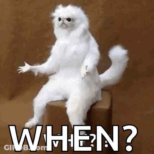 A White Cat Is Sitting On A Box With The Word When Written On It . GIF